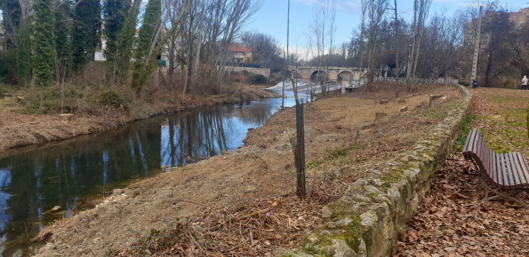 La Plataforma en Defensa del Arbolado acusa al Ayuntamiento de regalar la madera de las talas a Tragsa La Plataforma en Defensa del Arbolado acusa al Ayuntamiento de regalar la madera de las talas a Tragsa