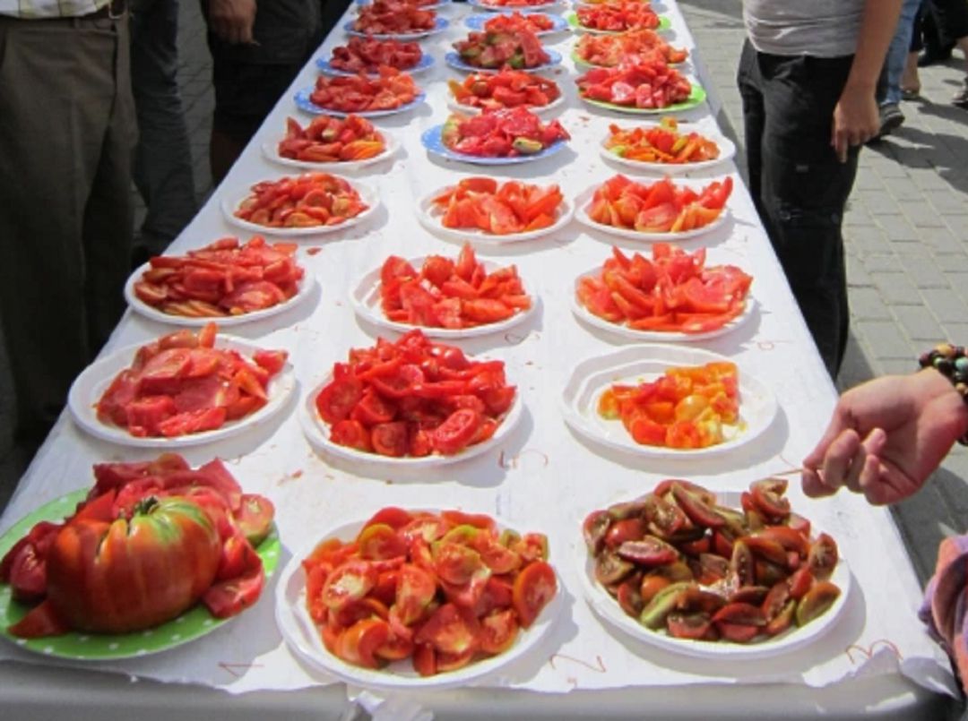 Imagen de una de las ediciones anteriores donde se ofrecían diferentes variedades de tomates a los participantes de la jornada en Piñel de Abajo. Imagen de una de las ediciones anteriores donde se ofrecían diferentes variedades de tomates a los participantes de la jornada en Piñel de Abajo.