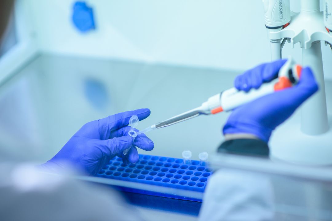 PCR PCR