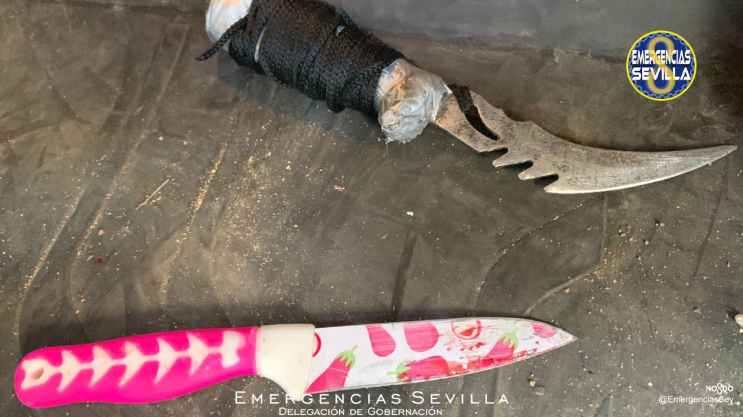 Armas intervenidas por los agentes locales. Armas intervenidas por los agentes locales.