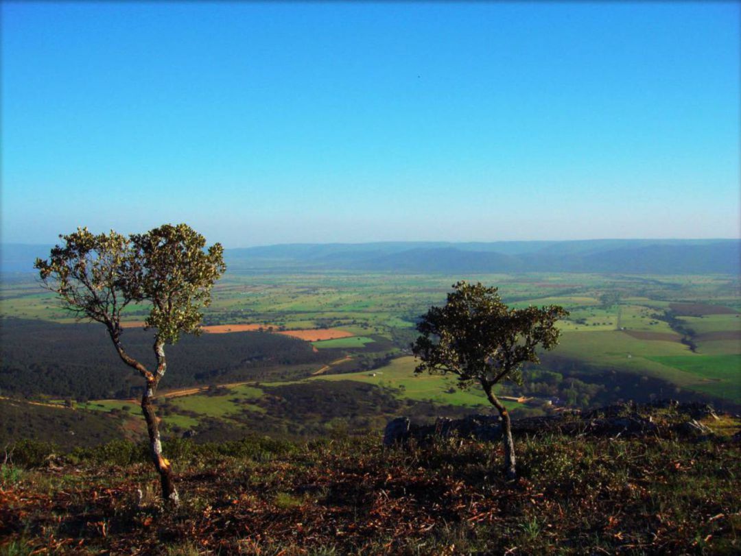 Alrededores de San Pablo de los Montes Alrededores de San Pablo de los Montes