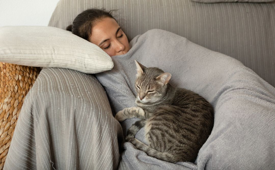 Se buscan voluntarios para echarse la siesta. Se buscan voluntarios para echarse la siesta.