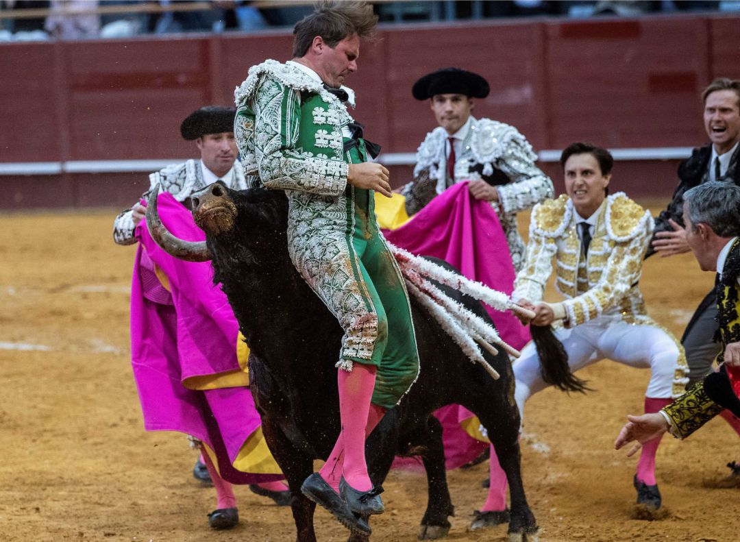 El banderillero Juan José Domínguez en el momento de la cogida que sufrió este miércoles durante el séptimo festejo de la Feria de San Isidro que se celebra en la plaza de toros de Vistalegre El banderillero Juan José Domínguez en el momento de la cogida que sufrió este miércoles durante el séptimo festejo de la Feria de San Isidro que se celebra en la plaza de toros de Vistalegre