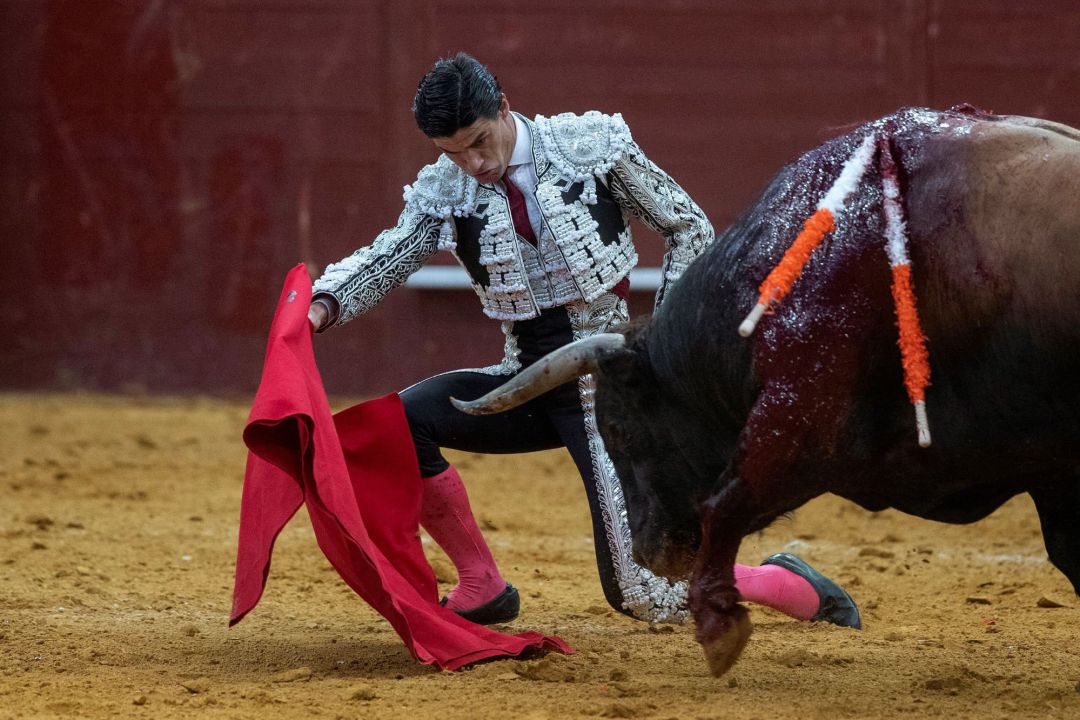 El diestro Pablo Aguado ante el segundo toro de su lote este miércoles en Vistalegre; el grave percance llegaría al entrar a matar al sexto El diestro Pablo Aguado ante el segundo toro de su lote este miércoles en Vistalegre; el grave percance llegaría al entrar a matar al sexto