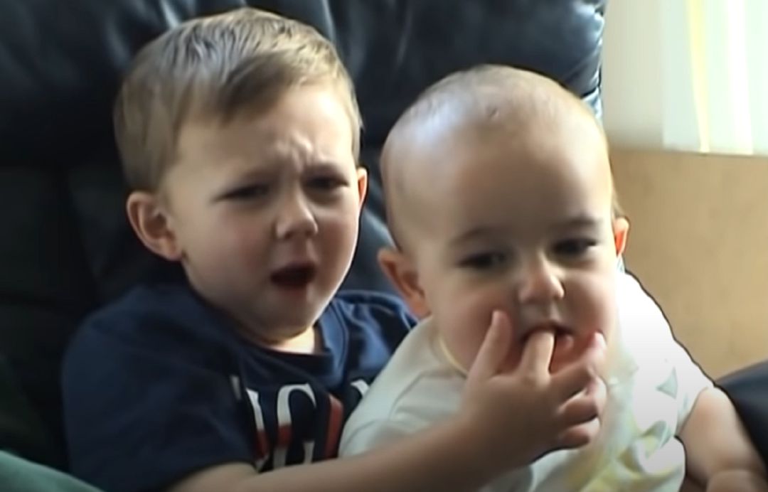 Captura del vídeo viral de Harry y Charlie. Captura del vídeo viral de Harry y Charlie.