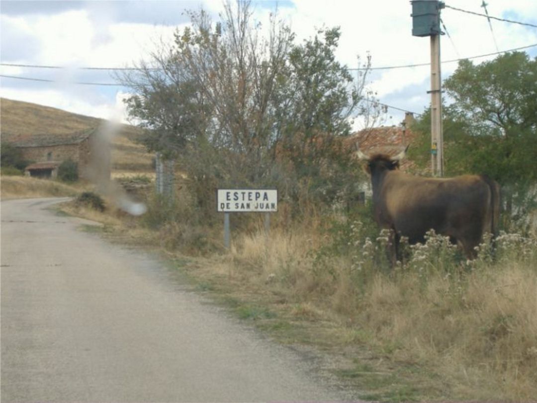 Estepa de San Juan Estepa de San Juan