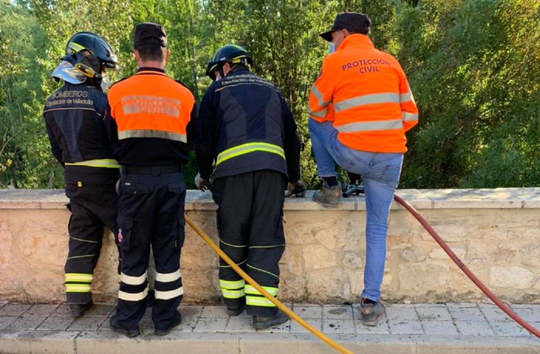 Los voluntarios de la agrupación, junto a los bomberos en una actuación Los voluntarios de la agrupación, junto a los bomberos en una actuación