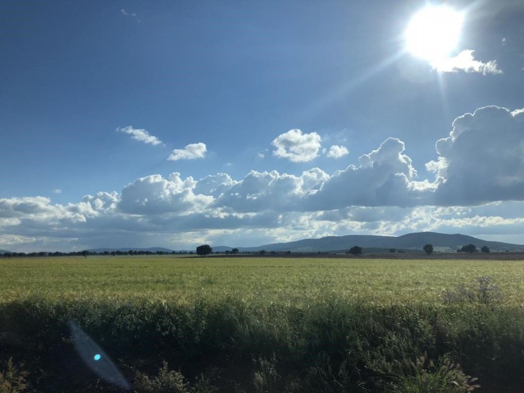 Campo. Agricultura. Campo. Agricultura.