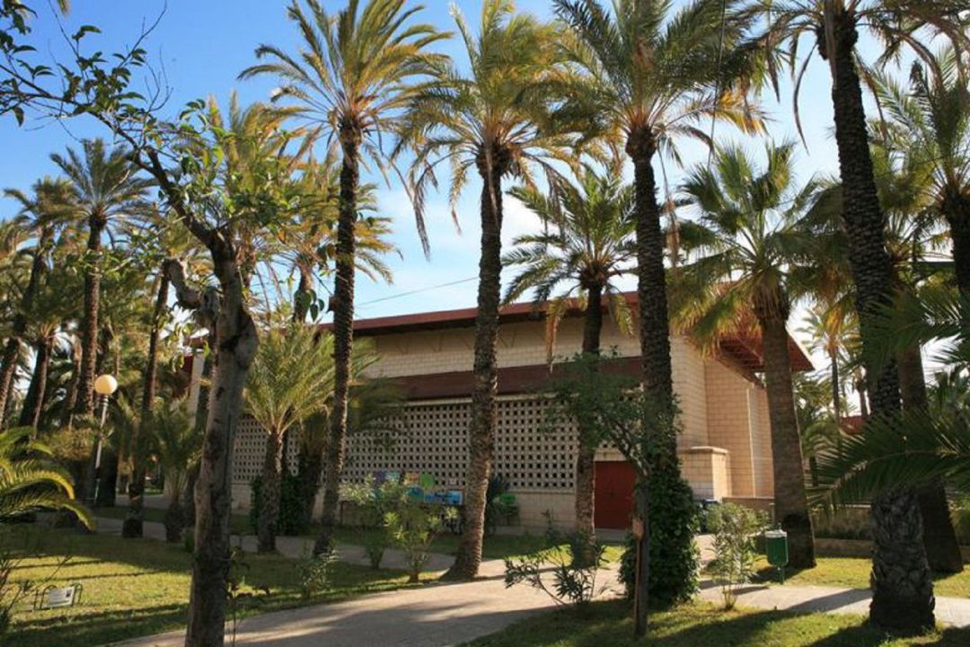 Colegio El Palmeral Colegio El Palmeral