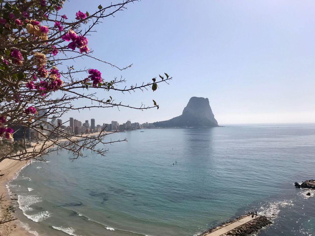 Calp. Calp.