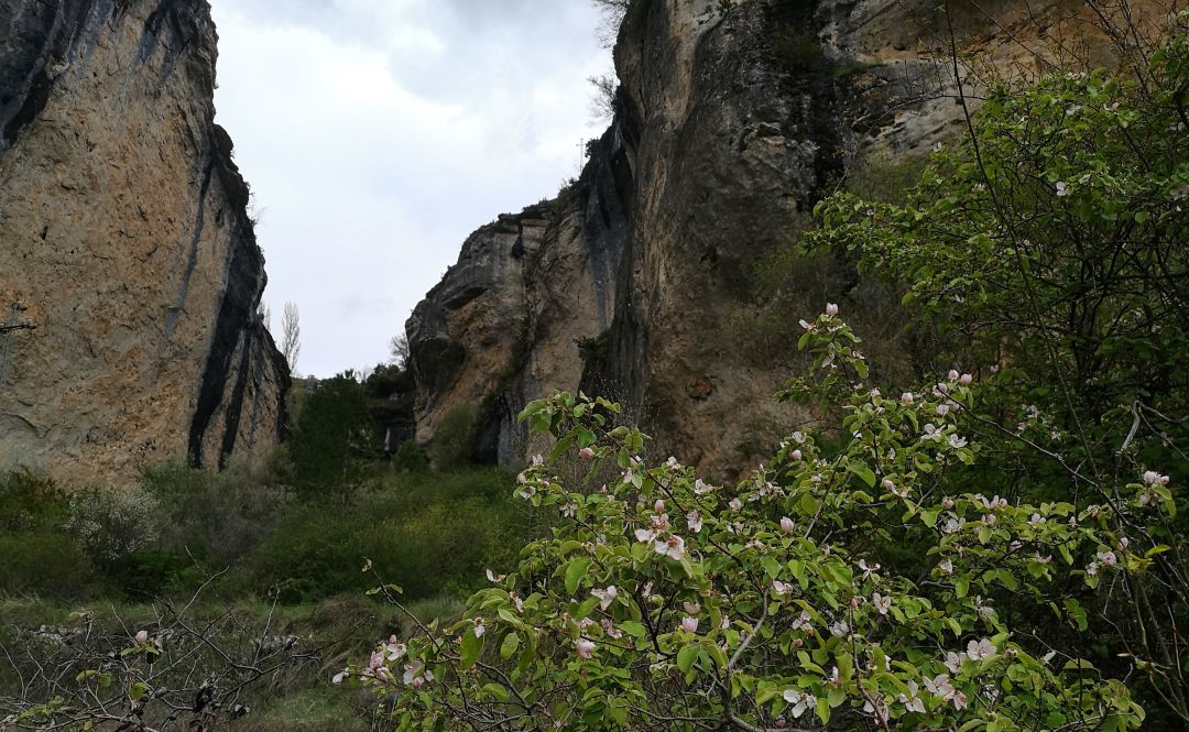 Senda del Hocino, en Fuertescuesa (Cuenca). Senda del Hocino, en Fuertescuesa (Cuenca).
