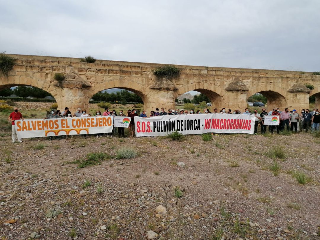 Un centenar de vecinos protesta por los vertidos de aguas fecales de una granja de cerdos en Lorca Un centenar de vecinos protesta por los vertidos de aguas fecales de una granja de cerdos en Lorca