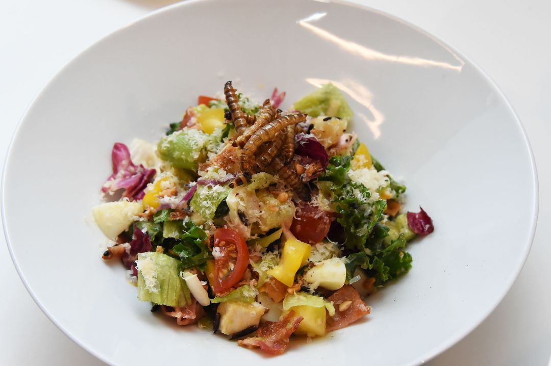 Ensalada de gusanos de seda. Ensalada de gusanos de seda.
