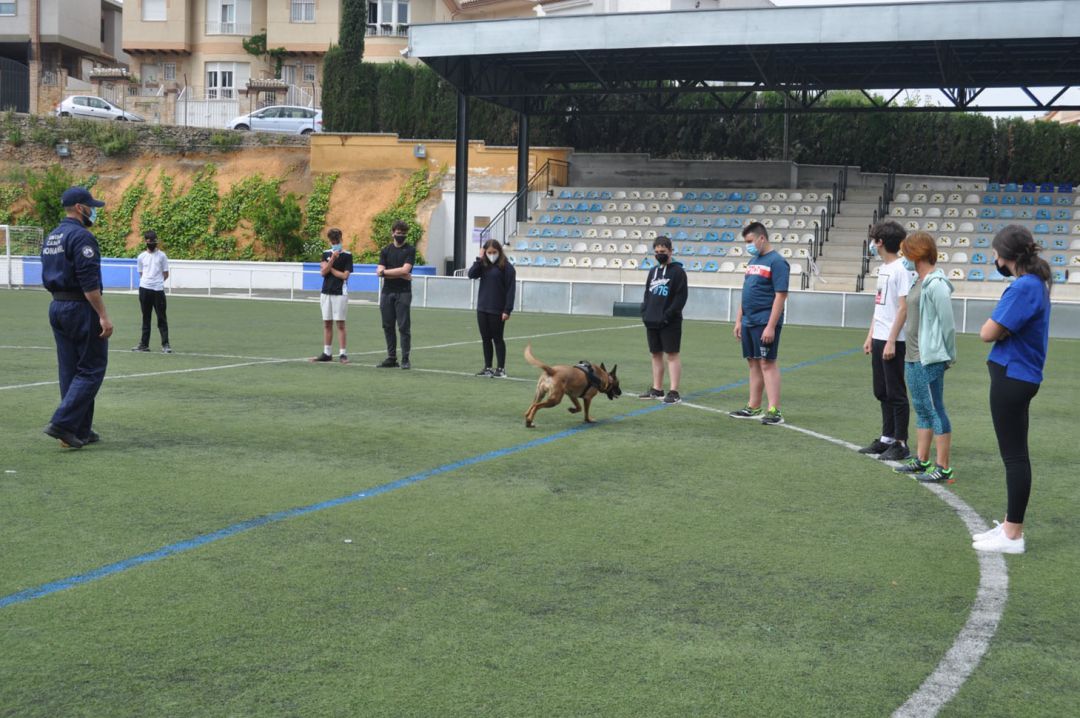 Jornada de formación con perros policía en Monachil (Granada) Jornada de formación con perros policía en Monachil (Granada)