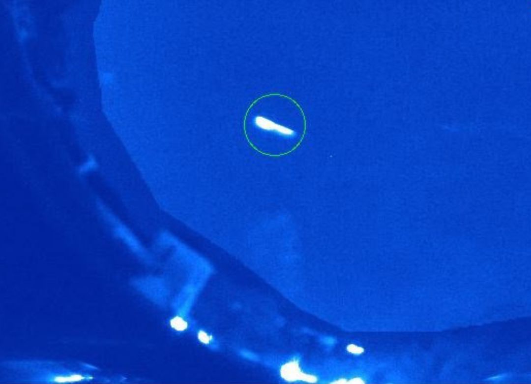 Detectado esta madrugada un bólido en Córdoba capital que podría ser el fragmento de un cometa. Detectado esta madrugada un bólido en Córdoba capital que podría ser el fragmento de un cometa.
