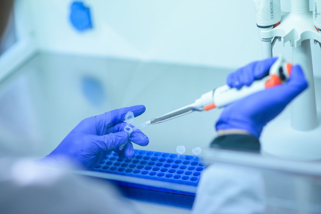 Análisis PCR Análisis PCR
