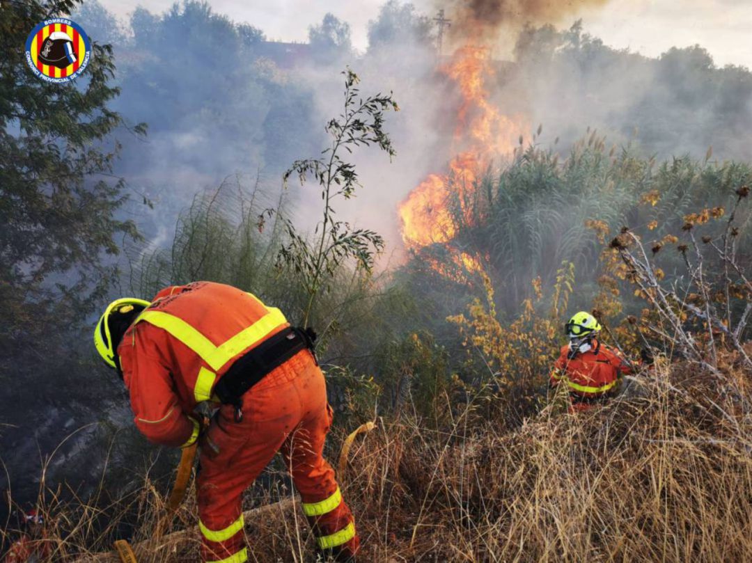 Bomberos forestales apagando un incendio Bomberos forestales apagando un incendio