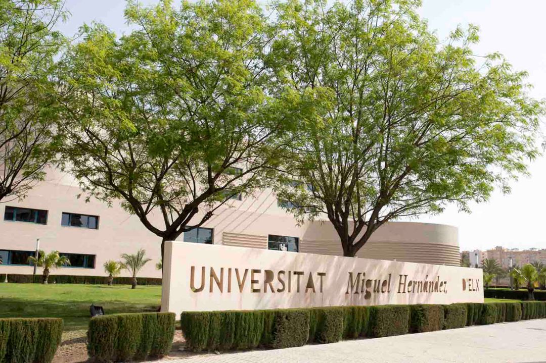 Vista panorámica del campus de la Universidad Miguel Hernández Vista panorámica del campus de la Universidad Miguel Hernández