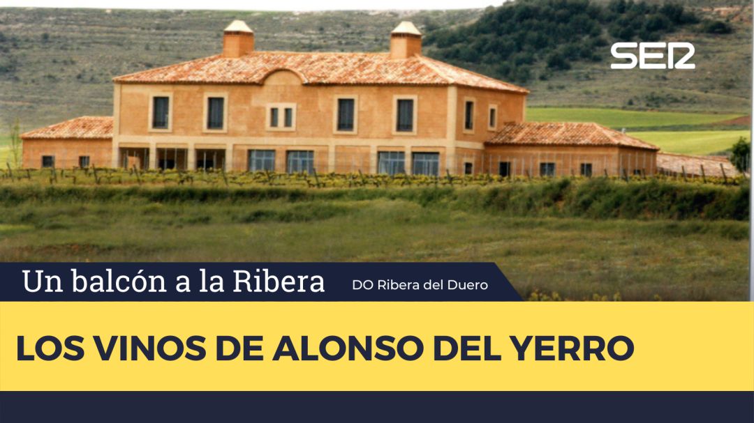 Viñedos Alonso del Yerro Viñedos Alonso del Yerro