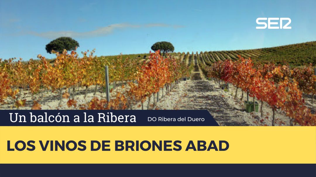 Briones Abad Briones Abad