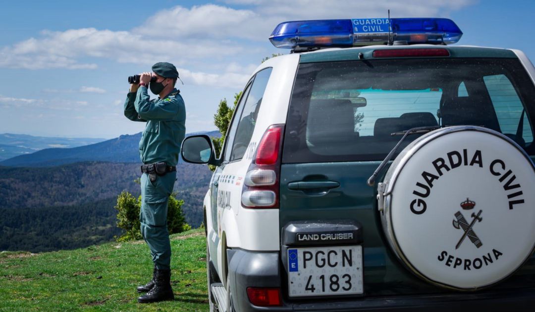 La Guardia Civil denuncia a dos personas en el término de Artajona por matar erizos La Guardia Civil denuncia a dos personas en el término de Artajona por matar erizos