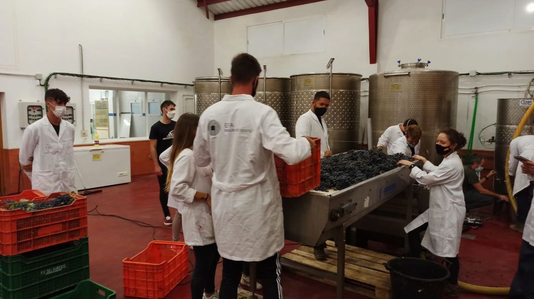 Formación en vitivinicultura Formación en vitivinicultura