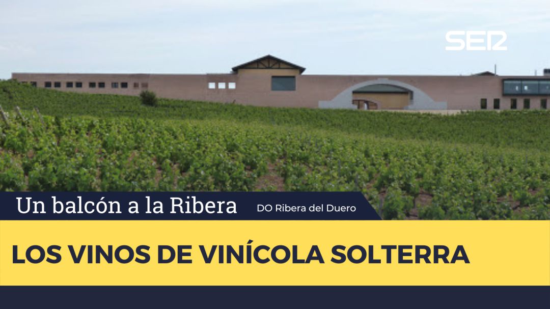 Vinícola Solterra Vinícola Solterra