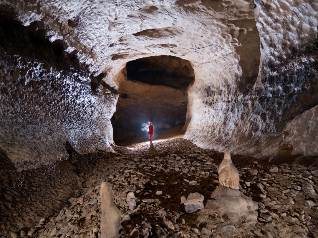 Un artículo publicado en la revista ‘Diversity’, destaca la extraordinaria biodiversidad subterránea de Ojo Guareña Un artículo publicado en la revista ‘Diversity’, destaca la extraordinaria biodiversidad subterránea de Ojo Guareña