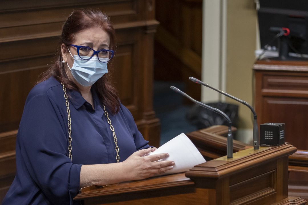 La consejera de Educación, Universidades, Cultura y Deportes del Gobierno de Canarias, Manuela Armas
La consejera de Educación, Universidades, Cultura y Deportes del Gobierno de Canarias, Manuela Armas