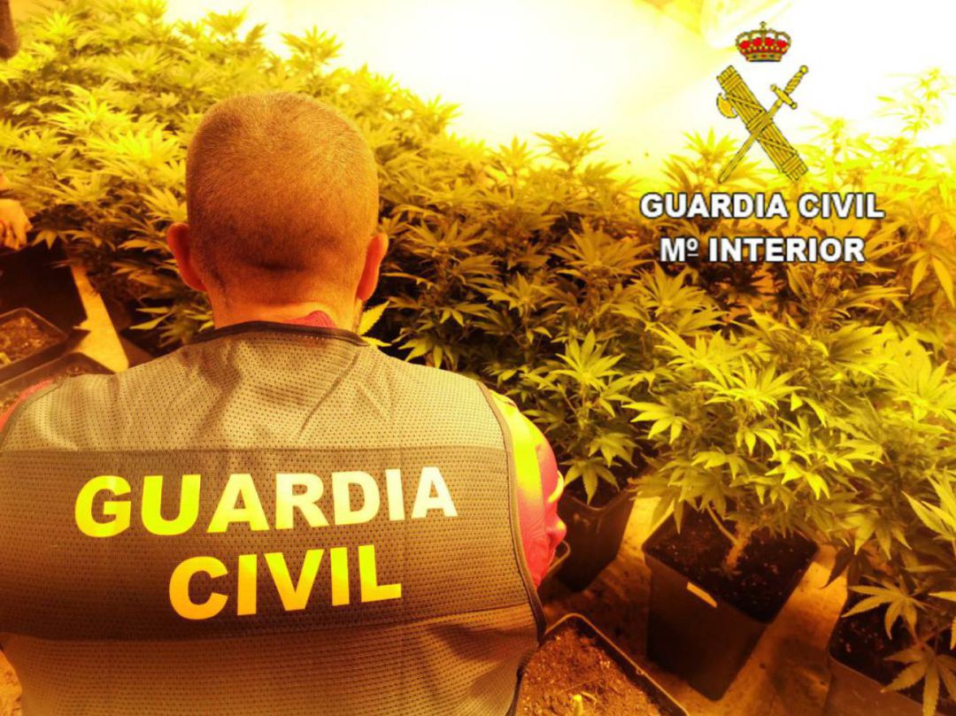Imagen de archivo de una operación anterior de la Guardia Civil contra el tráfico de drogas en Elda Imagen de archivo de una operación anterior de la Guardia Civil contra el tráfico de drogas en Elda