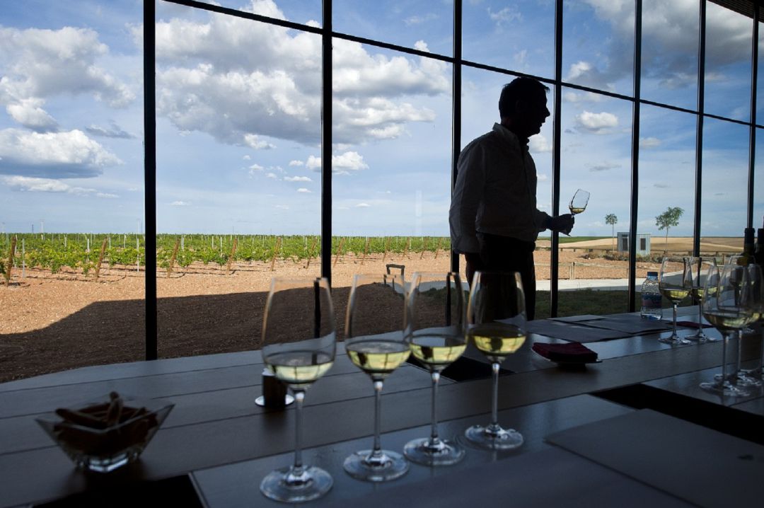 La formación de la Escuela Superior de Enoturismo de Castilla y León está generando empleo La formación de la Escuela Superior de Enoturismo de Castilla y León está generando empleo
