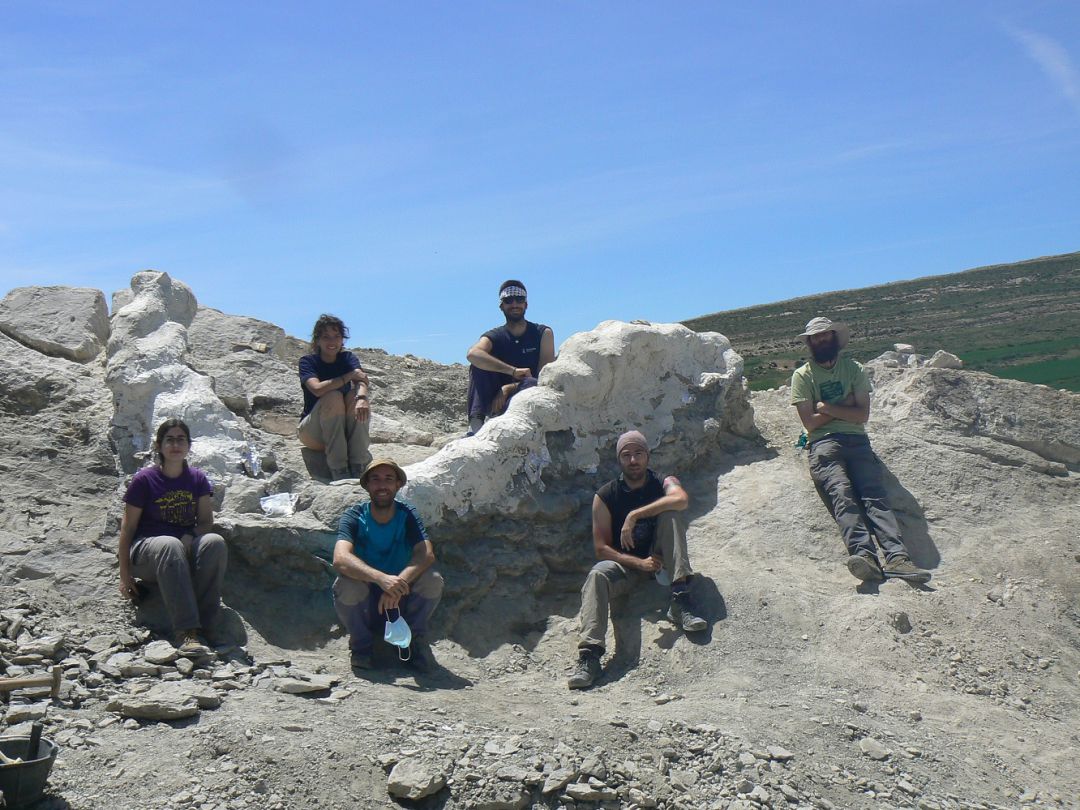 Paleontólogos, tras la excavación de la serie vertebral articulada, una vez protegida con yeso (Foto: Diego Castanera) Paleontólogos, tras la excavación de la serie vertebral articulada, una vez protegida con yeso (Foto: Diego Castanera)