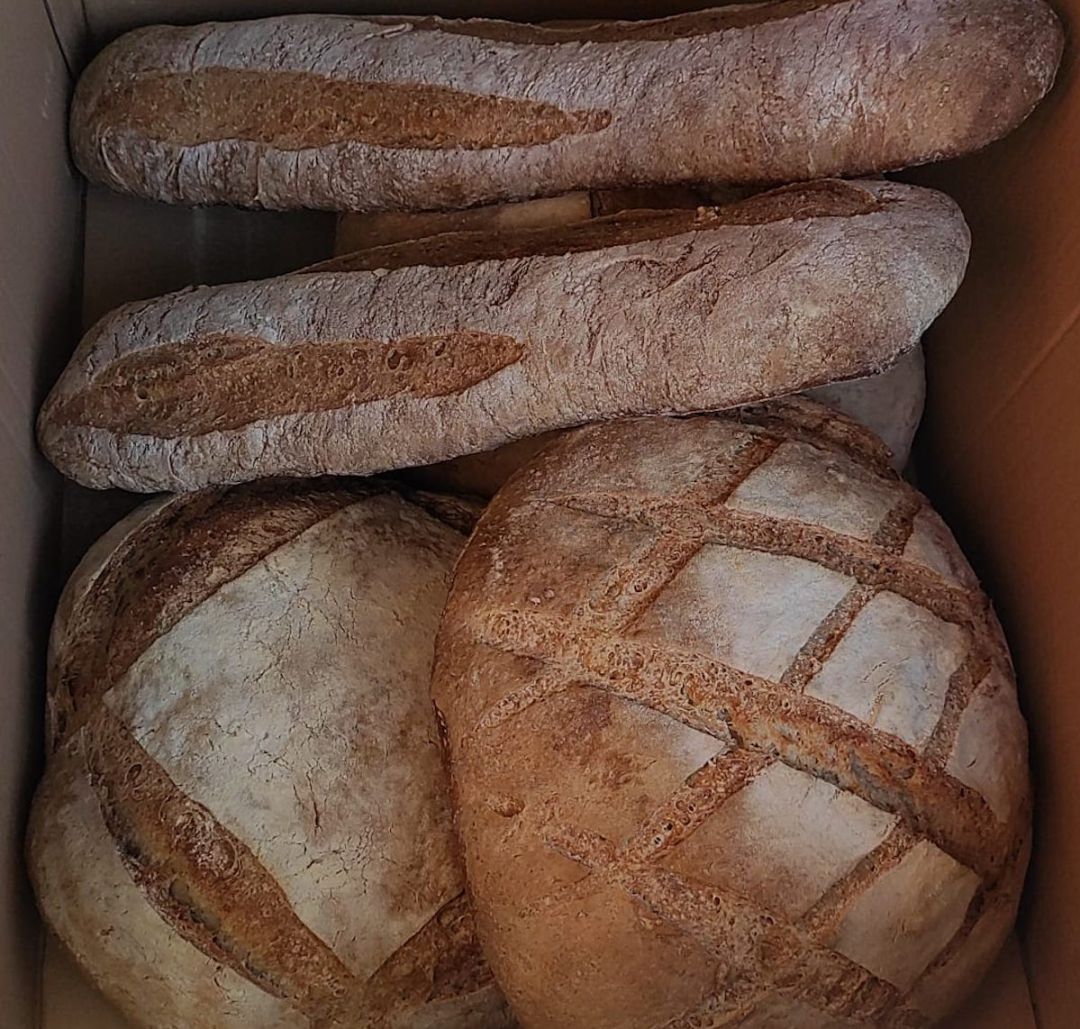 Pan elaborado siguiendo la receta medieval Pan elaborado siguiendo la receta medieval
