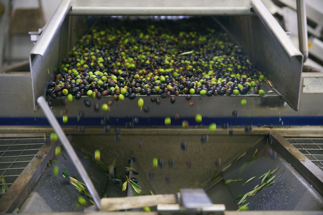 COAG Jaén denuncia que EEUU está realizando unas previsiones de aceite que son falsas y que se mueven por el interés COAG Jaén denuncia que EEUU está realizando unas previsiones de aceite que son falsas y que se mueven por el interés