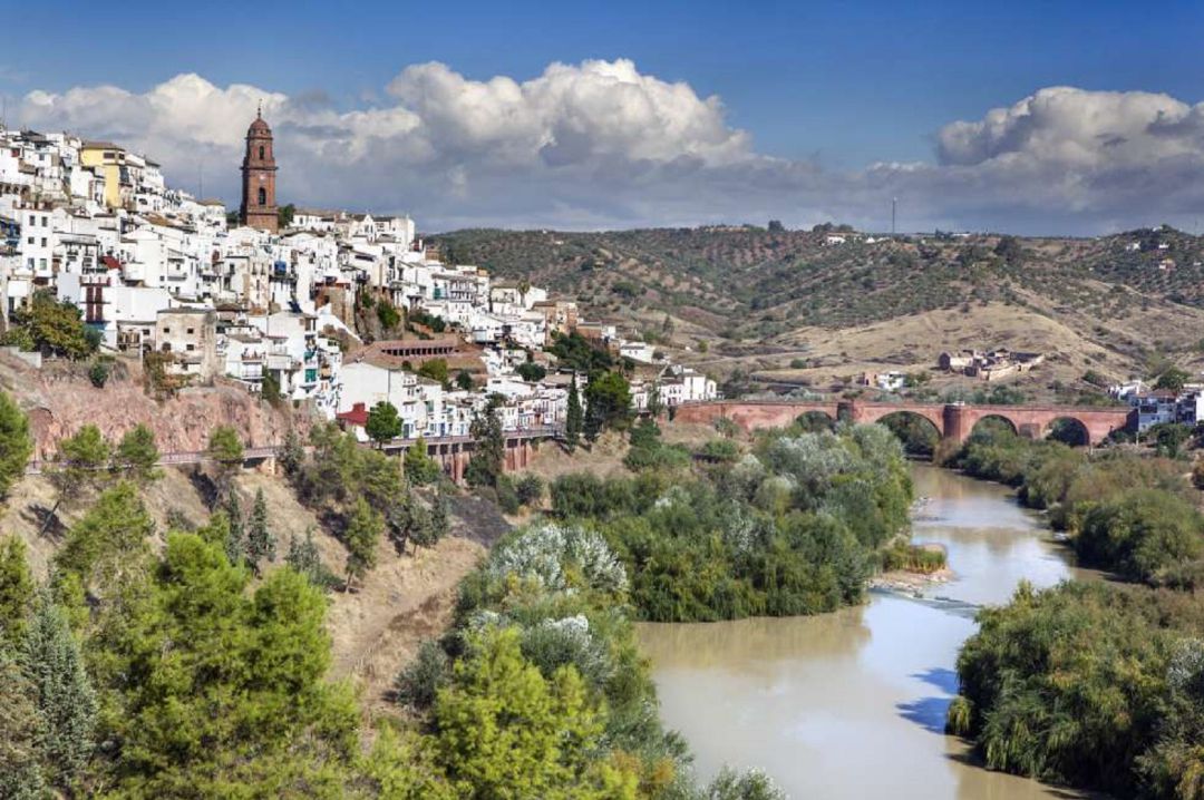 Montoro Montoro