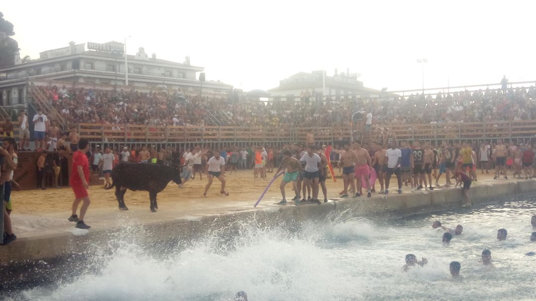 Bous a la Mar de 2018. Bous a la Mar de 2018.