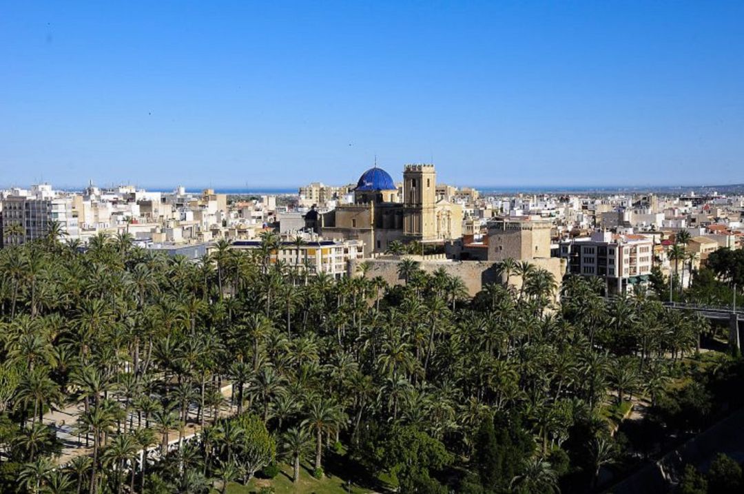 Palmeral de Elche Palmeral de Elche