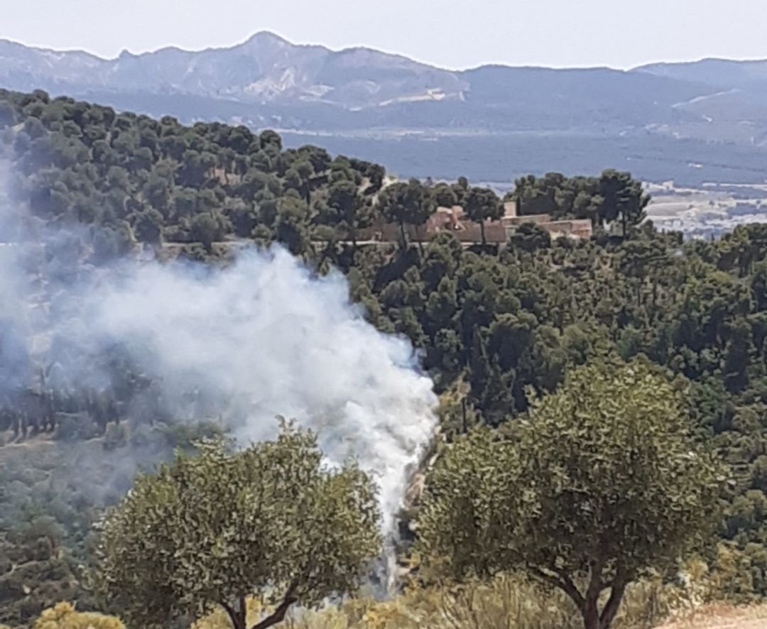 Entorno de la Fuente del Avellano afectada por un incendio forestal Entorno de la Fuente del Avellano afectada por un incendio forestal
