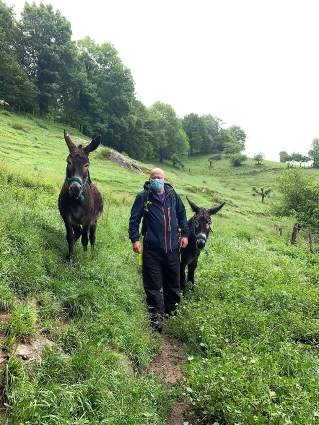 Murray acompañado de dos burros recorre las etapas vascas del camino Ignaciano Murray acompañado de dos burros recorre las etapas vascas del camino Ignaciano