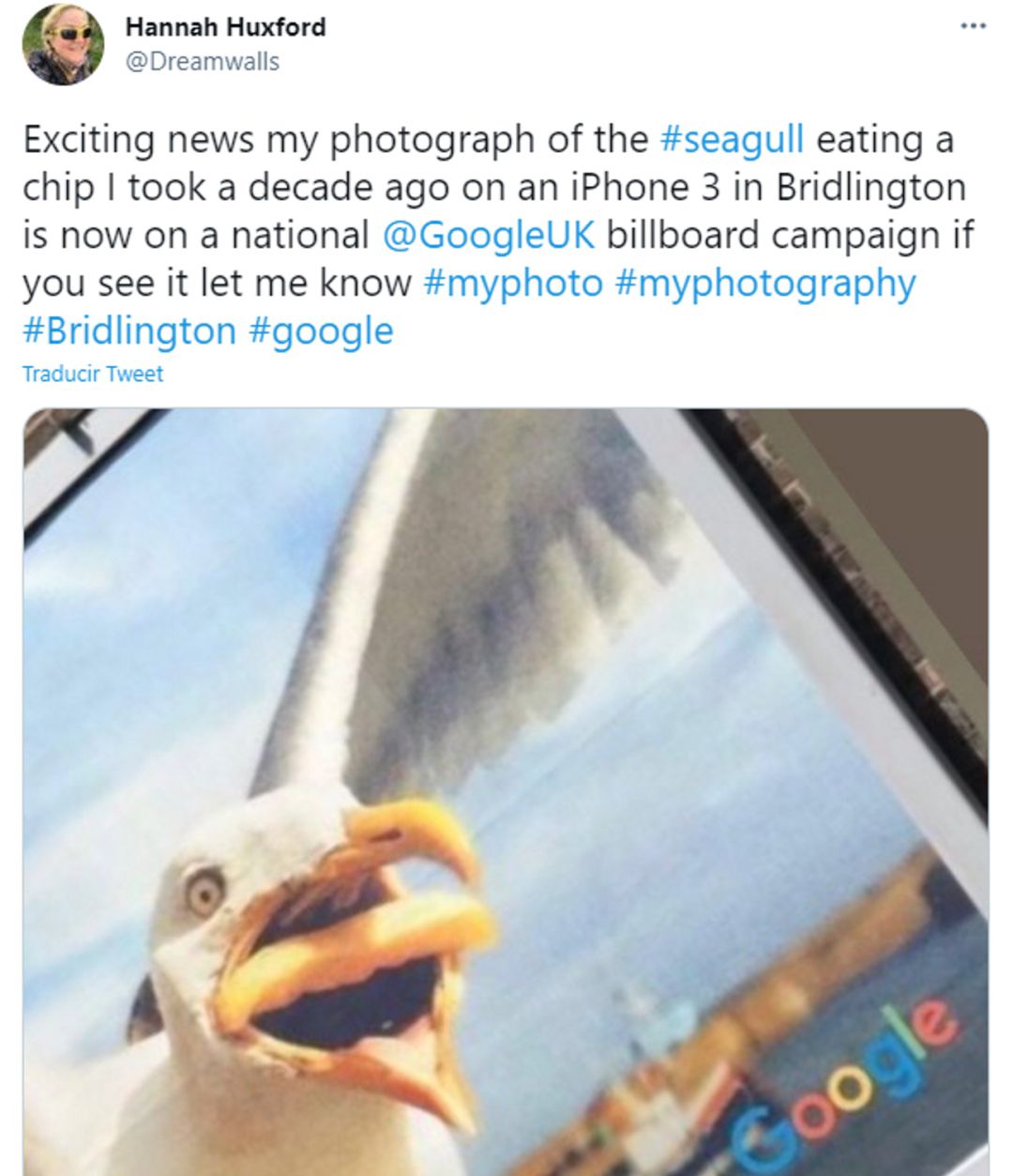 Hannah Huxford (@Dreamwalls) celebra que su foto de una gaviota comiendo una patata frita haya sido elegida por Google para una campaña publicitaria. Hannah Huxford (@Dreamwalls) celebra que su foto de una gaviota comiendo una patata frita haya sido elegida por Google para una campaña publicitaria.