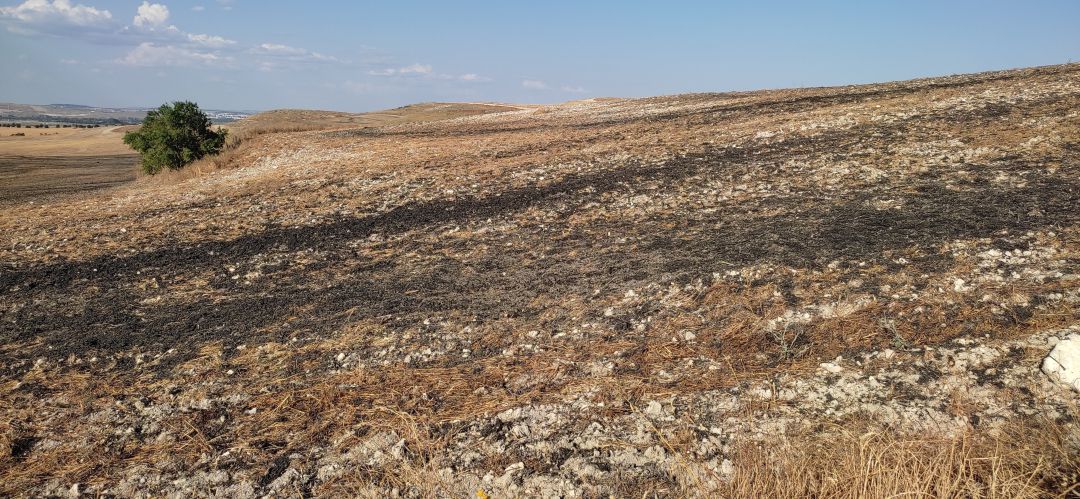 Imágen de los lodos diseminados por una finca situada a tres kilómetros de Pinto. Imágen de los lodos diseminados por una finca situada a tres kilómetros de Pinto.