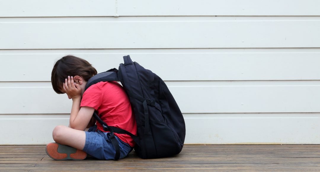La majoria d'agressors són adolescents d'entre 13 i 15 anys i més del 40% dels delictes són lesions lleus i amenaces La majoria d'agressors són adolescents d'entre 13 i 15 anys i més del 40% dels delictes són lesions lleus i amenaces