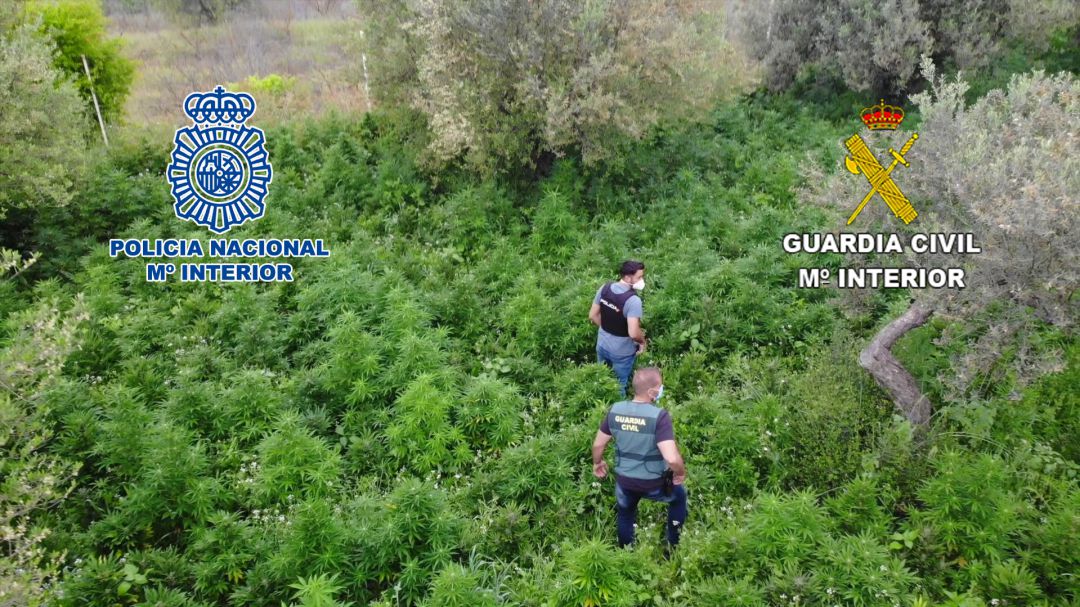 Dos agentes durante la operación policial Dos agentes durante la operación policial