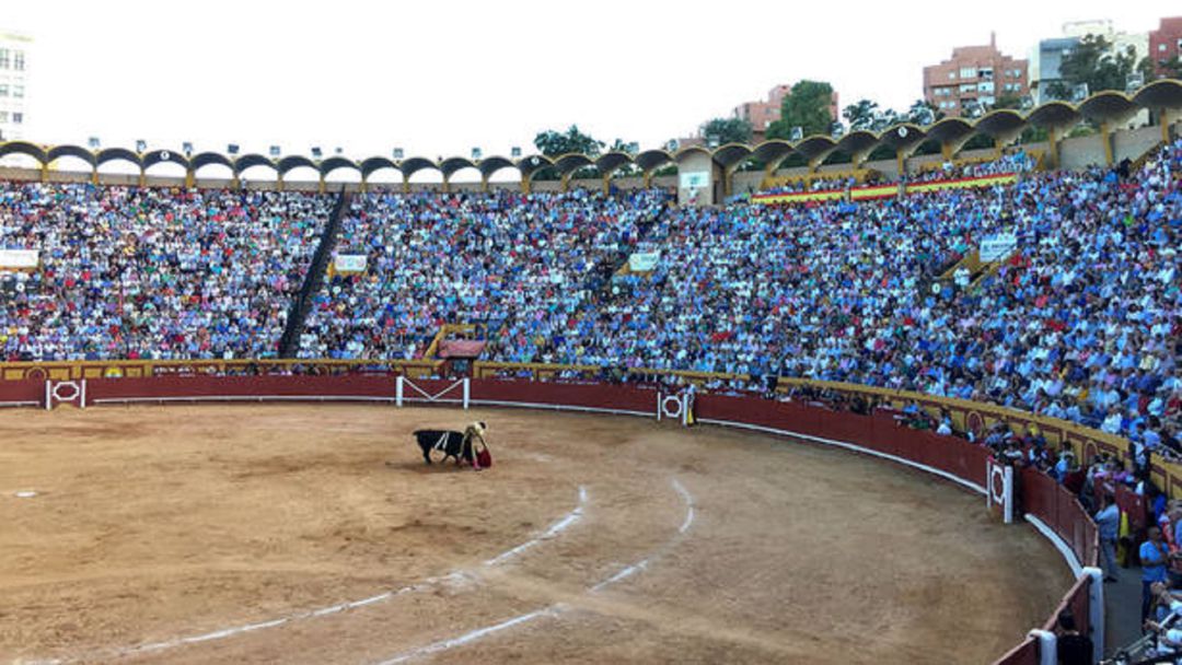 Toros en Algeciras. Toros en Algeciras.