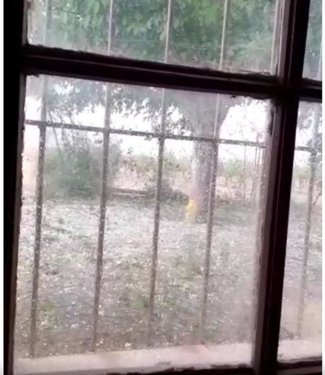 Tormenta de granizo en la parcela del agricultor Tormenta de granizo en la parcela del agricultor