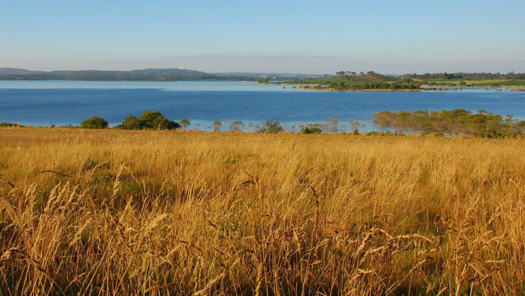 Embalse da Fervenza. Embalse da Fervenza.