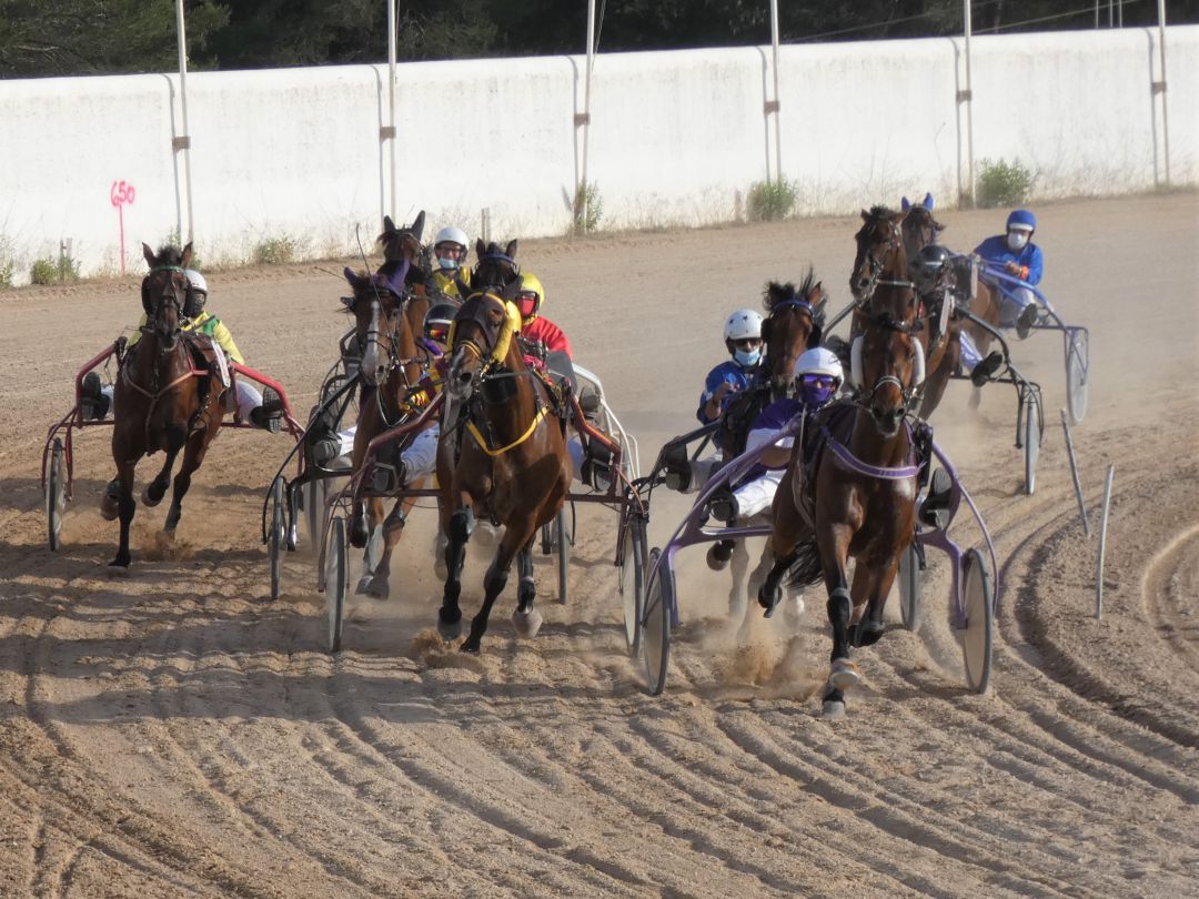 Imagen de una de las carreras del domingo Imagen de una de las carreras del domingo