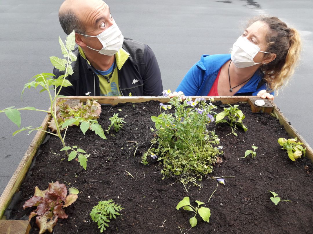 La huerta de la SER ya está preparada para el verano La huerta de la SER ya está preparada para el verano