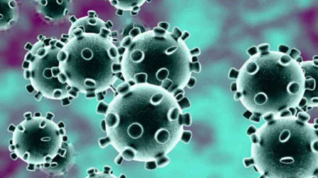 Datos sobre la evolución de la pandemia de COVID en Palencia Datos sobre la evolución de la pandemia de COVID en Palencia