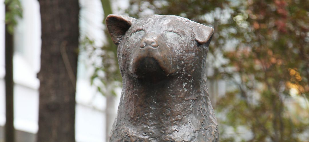 Una estatua recuerda la emotiva historia de Hachiko en Japón Una estatua recuerda la emotiva historia de Hachiko en Japón